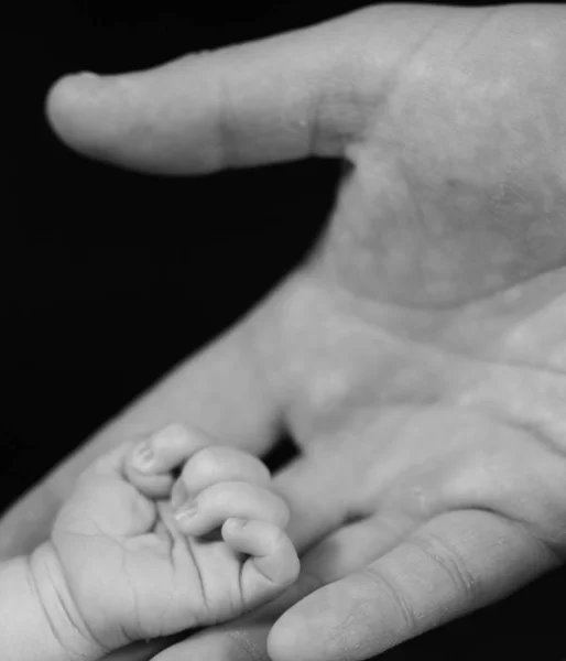 Baba ve yeni doğan bebek elleri