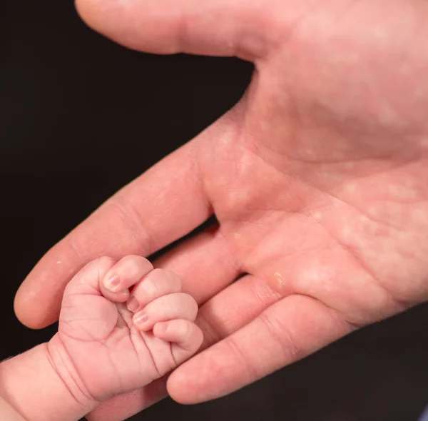 Baba ve yeni doğan bebek elleri