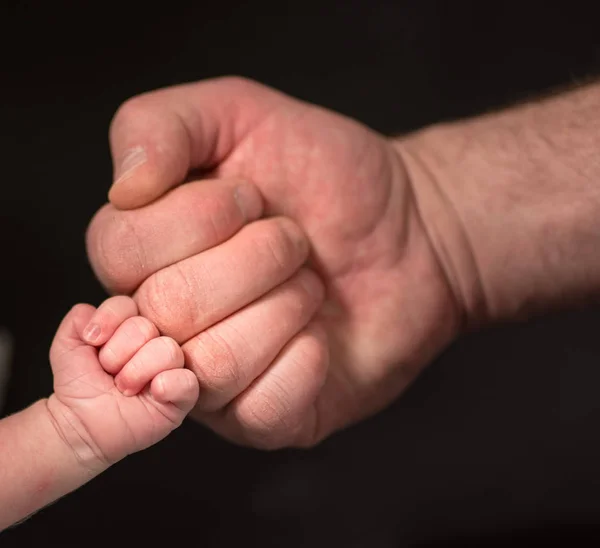 Father Newborn Baby Hands Stock Picture