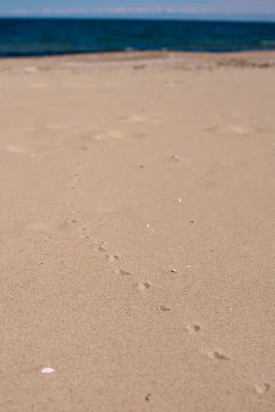 lehçe deniz baltık kum 