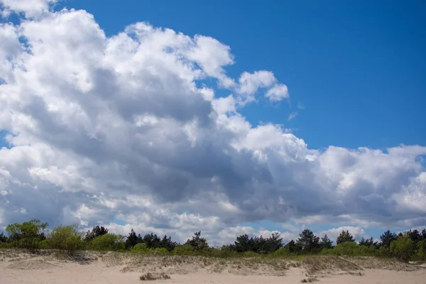 lehçe deniz baltık kum 