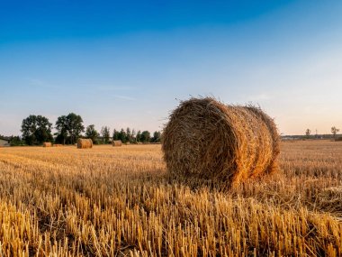 eğe üzerinde balet, yaz günbatımı