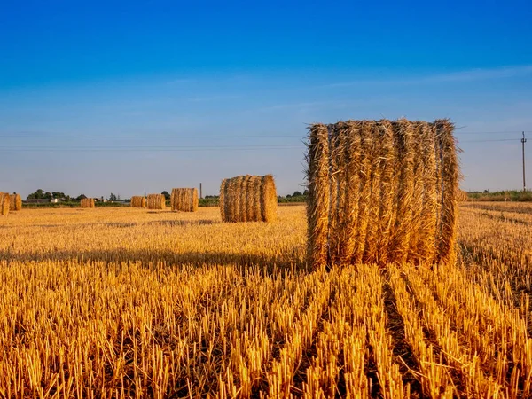 eğe üzerinde balet, yaz günbatımı