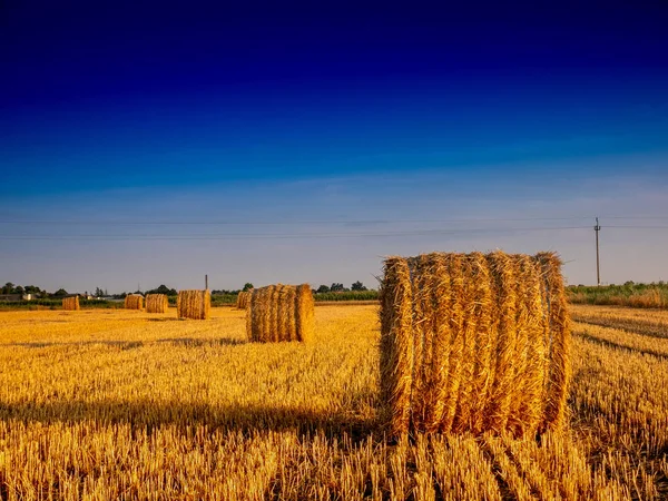 eğe üzerinde balet, yaz günbatımı