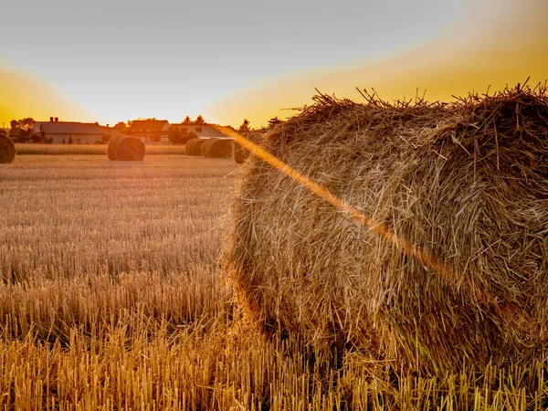 eğe üzerinde balet, yaz günbatımı