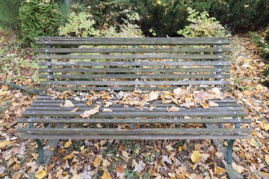 Tezgah sonbahar Park. Kuru sarı yapraklar üzerinde eski gri ahşap Bank yalan söylüyorsun.