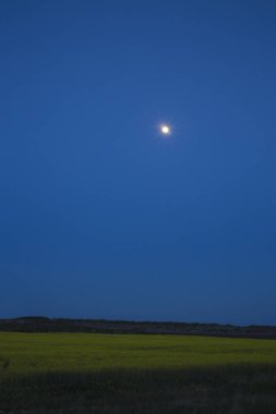 Ay bir tecavüz üzerinde gece alanıdır. Sarı tecavüz alanları tarım arazisi. Mavi gökyüzü ve ay içinde belgili tanımlık geçmiş. Bir smartphone için resim.