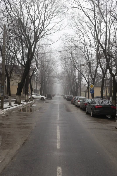 Meztelen Fák Ősz Utcában Található Város Sciusev Street Kisinyovban — Stock Fotó