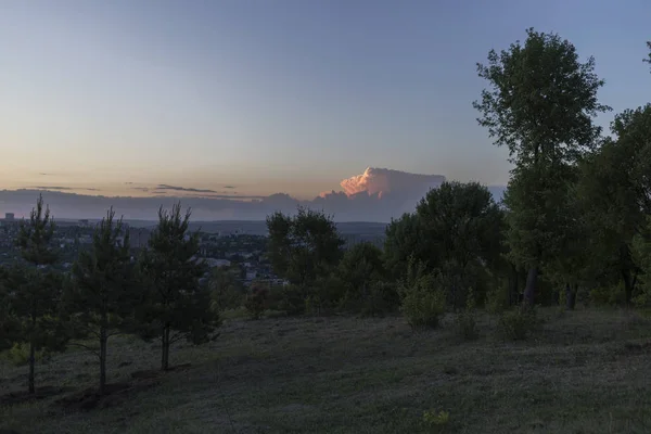 Nubes Atardecer Sobre Ciudad Nocturna Contorno Pinos Primer Plano — Foto de Stock