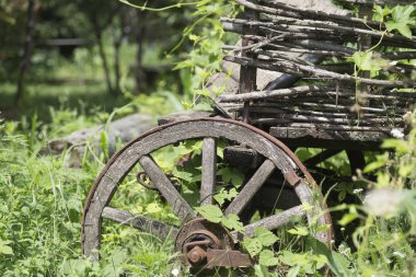 Büyük eski ahşap tekerlek eski arabası. Bu eski ahşap arabasının arka bahçesinde parçası olan.