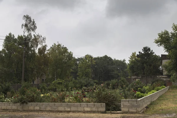 Cerca Piedra Caliza Inacabada Alrededor Gran Macizo Flores Está Lloviendo — Foto de Stock