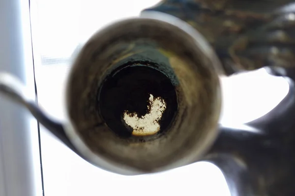 Kağıt Bardak Altındaki Kahve Telvesi Vardır Fal Kahve Telvesi Tarafından — Stok fotoğraf