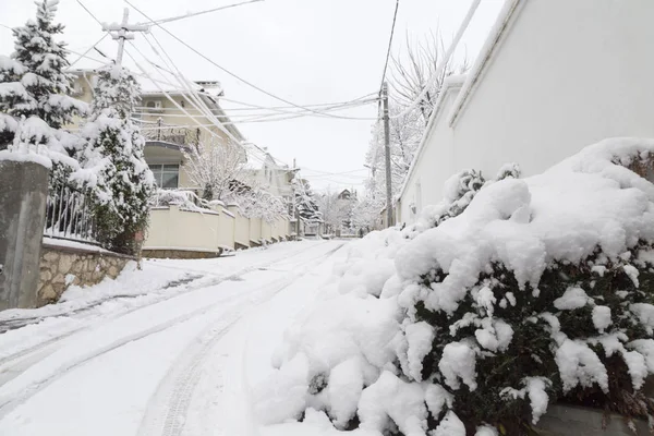 Mooie Winterdag Stad Eerste Sneeuw Bedekt Bomen — Stockfoto