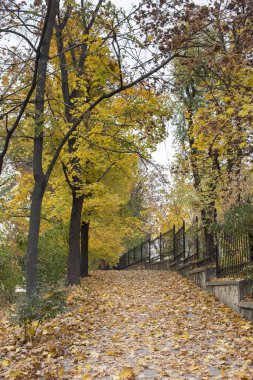 Harika sonbahar gün şehir parkı içinde. Sokak ile kaplı metal çit yürüyüş bırakır.
