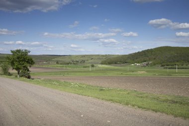Beutiful yatay bir toprak yol ve bir ağaç. Arka planda yer alan bulutlar ile mavi gökyüzü.