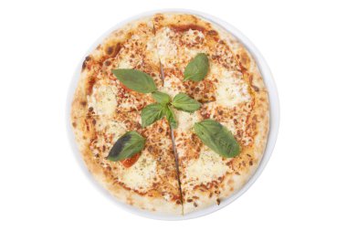 Pizza margherita süslenmiş dal bazilika. Beyaz bir arka planda izole. Yakın çekim.