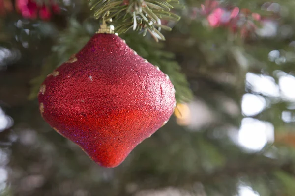 Juguete Rojo Navideño Una Rama Pino Primer Plano — Foto de Stock