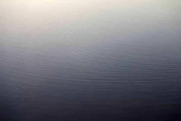 Ondulaciones en aguas azules profundas como círculos . — Foto de Stock