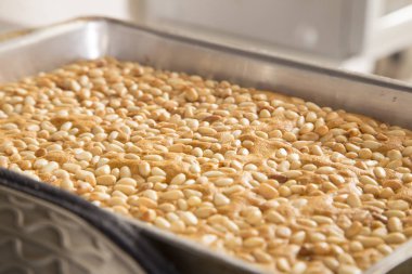 Bir fırın kabında çam fıstığı ile hazır sünger kek.