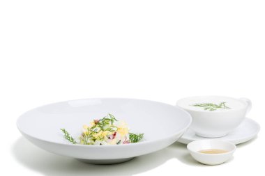 Geleneksel Rus çorbası, sebzeli ve şifalı. Beyaz bir arka planda izole edilmiş. Yakın plan..