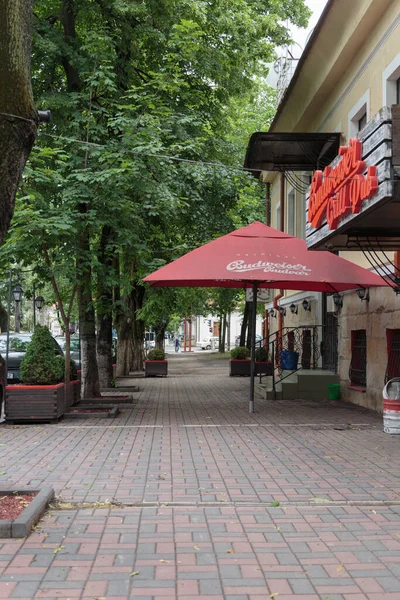 旧市街の美しい通り チシナウ モルドバ 2020 九三シウセフの木 — ストック写真