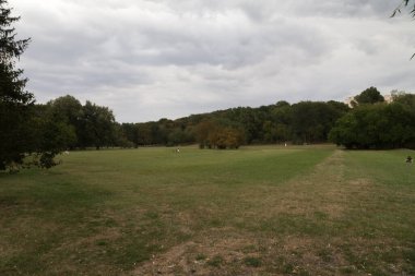 Şehir parkında büyük bir piknik alanı. Dramla dolu güzel bir yaz manzarası.