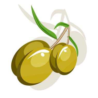 İki iştah açıcı yeşil zeytin