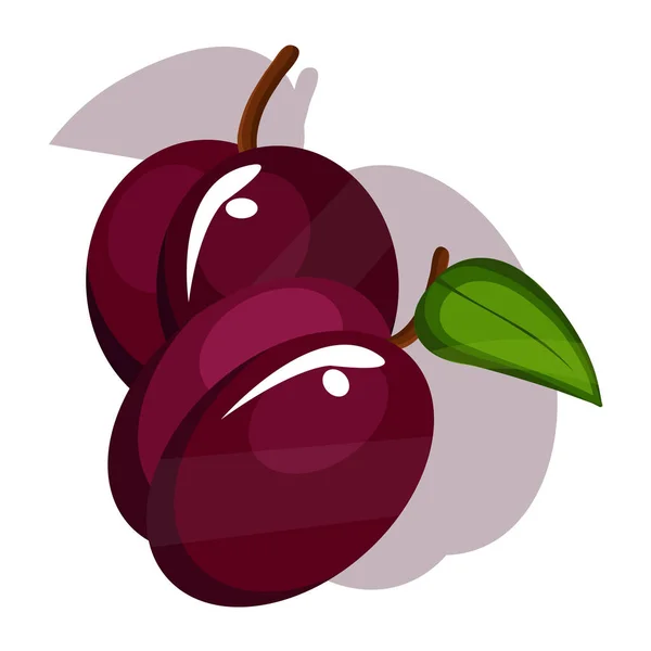 Deux prunes savoureuses avec — Image vectorielle