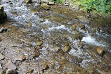 Kolochava köyü yakınlarında küçük bir dağ nehri