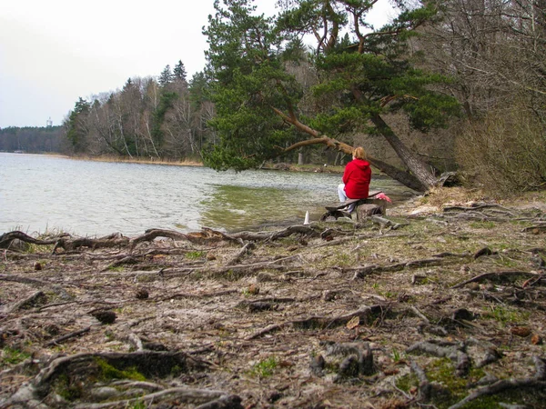 Ağaç kökleri göl kıyısı sürünerek. Göl kıyısı sürünerek Ağaç kökleri.