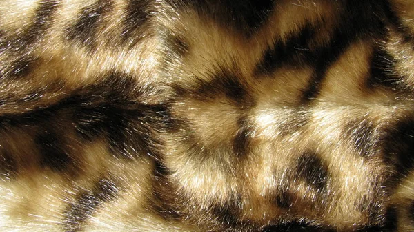 Hayvan kürk doku. Kürk arka plan. Makro.