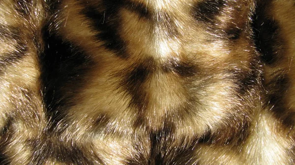 Tierfell Textur Fellhintergrund Makro — Stockfoto