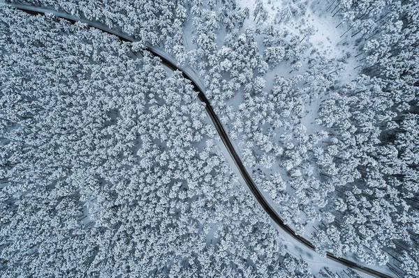 Curving black road through winter snow covered forest captured by drone from brid\'s eye