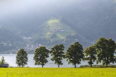 Avusturya Alpleri 'ndeki güzel dağ Gölü, ön tarafta ağaçlarla ve ters sahildeki bir kasaba, gölde küçük bir yelken teknesi.