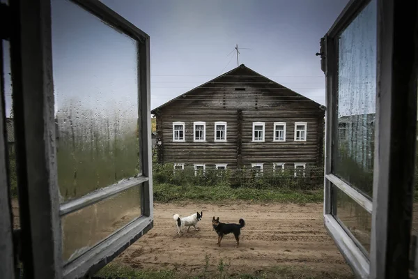 Siyah ve beyaz sokak köpekleri ile kırsal Rus köyünün cadde üzerine yağmur Splattered pencere üzerinden ilginç görünümü gözcünü izlemek için duraklatıldı