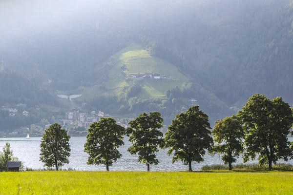 Avusturya Alpleri 'ndeki güzel dağ Gölü, ön tarafta ağaçlarla ve ters sahildeki bir kasaba, gölde küçük bir yelken teknesi.