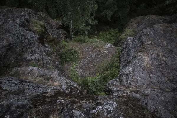 Yosun kaplı koyu kayalar, Karelia, Russua Devil Chair dönüm