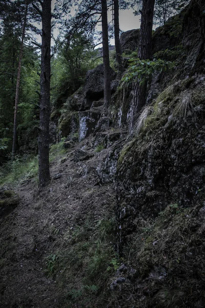 Kuzey ahşap bir yamaçta yosun kaplı koyu kayalar