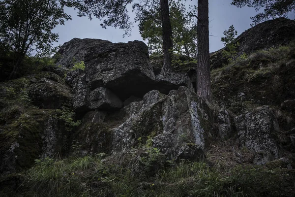 Yosun kaplı koyu kayalar büyüyen iki ağaç