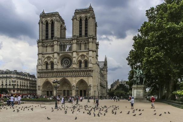 Notre Dame din Paris, Franța, porumbei în piață — Fotografie, imagine de stoc