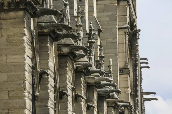 Notre Dame din Paris, Franța, aproape de gargoyles — Fotografie, imagine de stoc