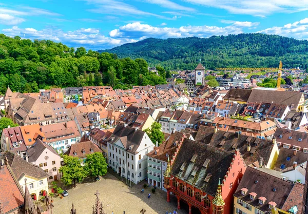 Freiburger Munster KatedralI Kilisesi'nden havadan manzara. Freiburg i