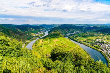 Romantik Moselle, Mosel nehrindeki Calmont 'tan Bremm döngüsü. Panorama manzaralı. Rhineland-Palatinate, Almanya