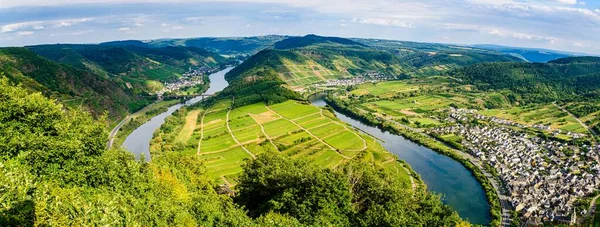 Romantik Moselle, Mosel nehrindeki Calmont 'tan Bremm döngüsü. Panorama manzaralı. Rhineland-Palatinate, Almanya