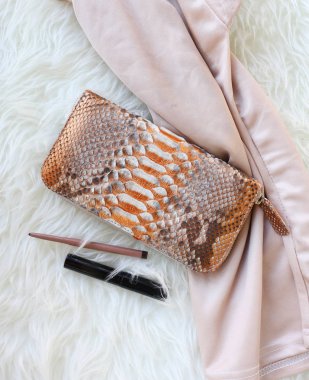 Moda kadın aksesuarları. Temel genel bakış. Altın python deri cüzdan ve kozmetik üstten görünüm 