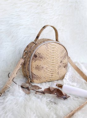 Moda kadın aksesuarları, python deri çanta ve kozmetik 
