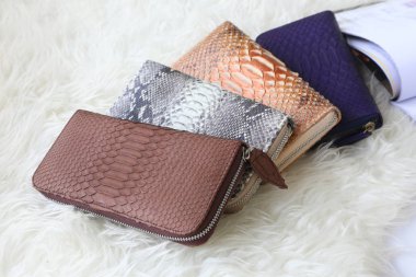 Moda kadın aksesuarları. Temel genel bakış. Altın python deri cüzdan üstten görünüm