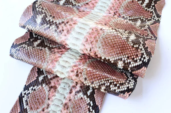 Snake Skóry Python Tło — Zdjęcie stockowe
