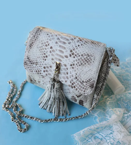 Mode Femme Python Sac Peau Sur Fond Bleu — Photo