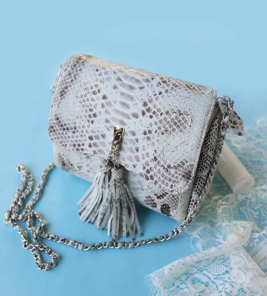 Fashion women python skin bag on blue background — Stock Photo, Image